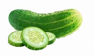 Cucumber