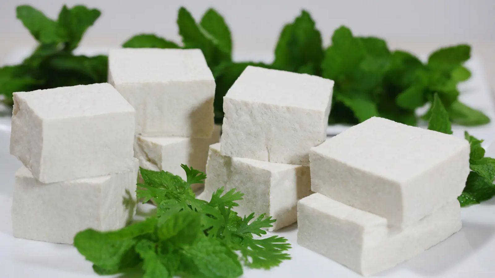 Paneer